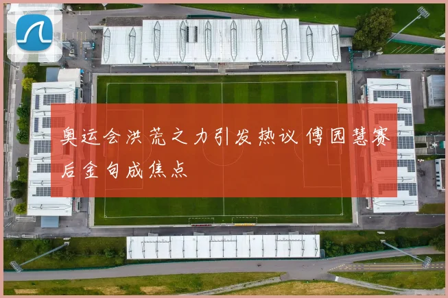 奥运会洪荒之力引发热议 傅园慧赛后金句成焦点